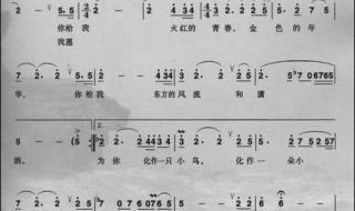 我爱你中国简谱 我爱你中国简谱