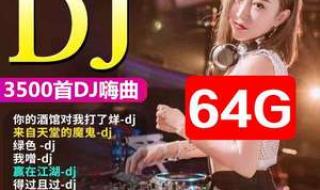 最劲爆的dj舞曲 最劲爆的dj舞曲