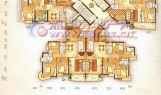 广州白云区富力桃园