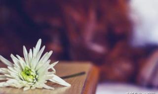 我难过的是无话不说 我难过的是无话不说