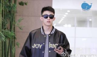 在树上唱rap 在树上唱rap