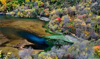 云上的宝石大结局 云上的宝石大结局