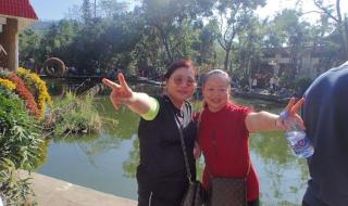 深圳东湖公园菊花展