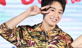 星光少女国语版 星光少女国语版