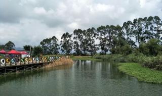 吴桥杂技团 吴桥杂技团