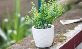 自动浇水器 自动浇水器