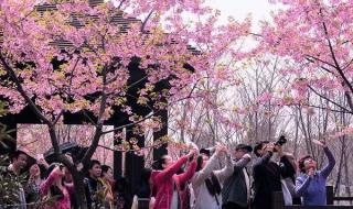 上海踏青好去处 上海踏青好去处