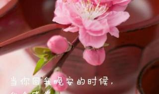 怎么在图片上面加字