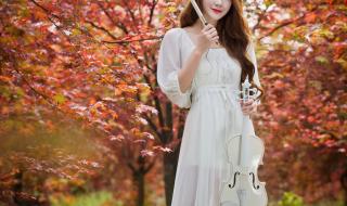 片片枫叶情简谱 片片枫叶情简谱