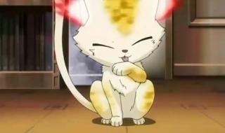 家庭教师reborn动漫 家庭教师reborn动漫