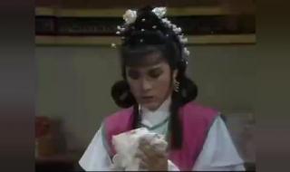 萍踪侠影米雪版 萍踪侠影米雪版