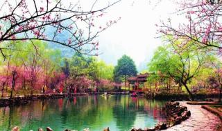 春季赏花的唯美句子 春季赏花的唯美句子