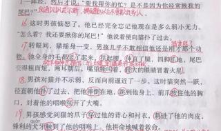 骑鹅旅行记课堂笔记 骑鹅旅行记课堂笔记