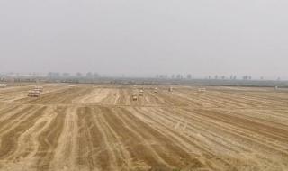 我爱过你笑的脸庞