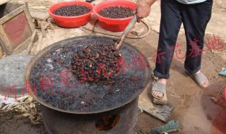 土元养殖是真的吗