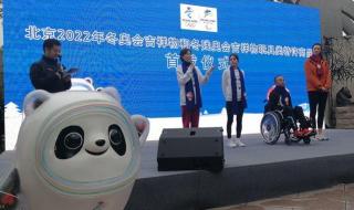 2022年冬奥会吉祥物介绍